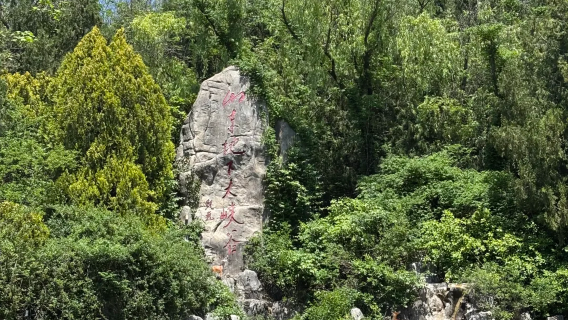 臨沂拼團一日遊【10人團|含門票+來回接送|可純拼車】