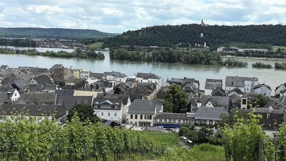 [Lawatan Sehari Frankfurt Jerman] Taman Lembah Rhine + Rüdesheim