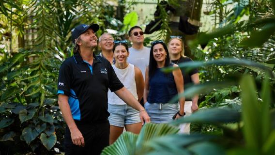Cairns City Sights and Surrounds Tour