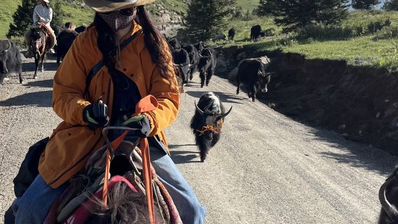 [Snow Mountain Pastoral - Exclusive Tibetan Experience] Tagong Local Horseback Riding Experience Day Trip