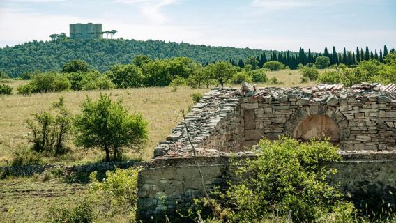 Passeio organizado de Bari a Castel del Monte