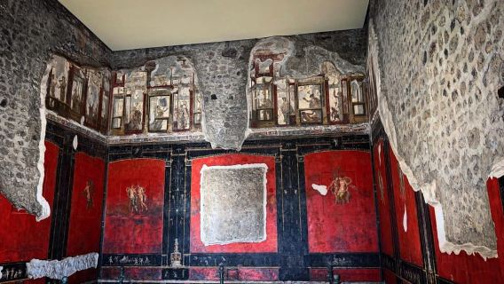 Naples: Pompeii Archaeology Park Tour & Skip-the-Line Entry