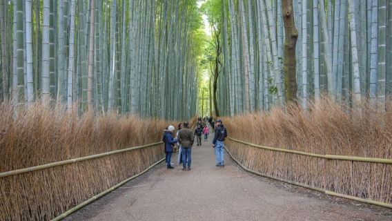 Kyoto by Bus: Nijo, Bamboo Grove & Fushimi Inari (EN/ES)