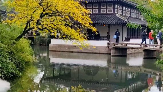 【天天發不含門票】拙政園大咖拼團人員導覽含耳機