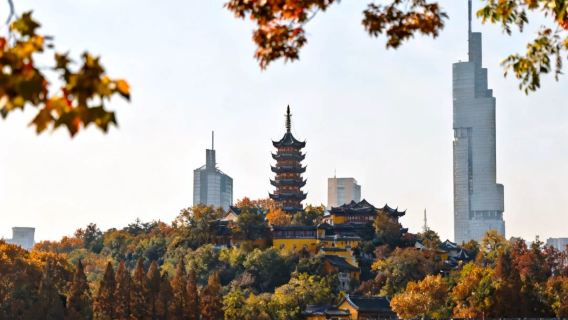 China Nanjing: vertaling begeleiding/uitleg door gids/gecharterde autovervoer/lokale begeleiding/keuze uit minder gesproken talen zoals Chinees, Engels, Russisch, Japans, Koreaans