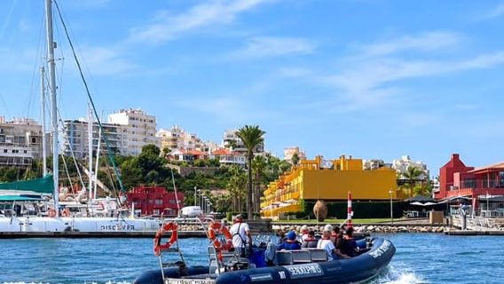 Πορτιμάο: Περιήγηση με Βάρκα για Παρατήρηση Δελφινιών σε Μικρή Ομάδα
