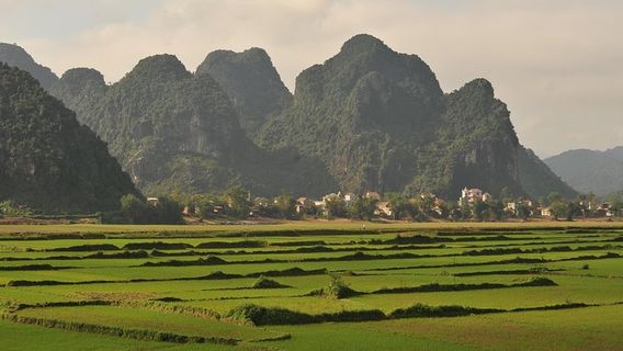 Xuan Trach