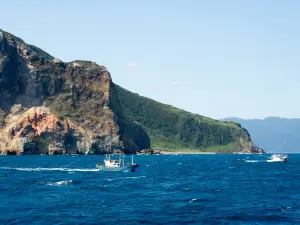 Guishan Island Whale Watching Half-Day Tour | Yilan