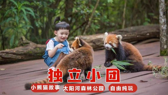 普洱日遊