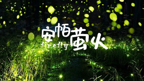 夜功縣日遊