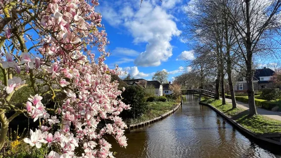 Day Tour to Zaanse Schans and Giethoorn Incl. One Hour Boat Cruise