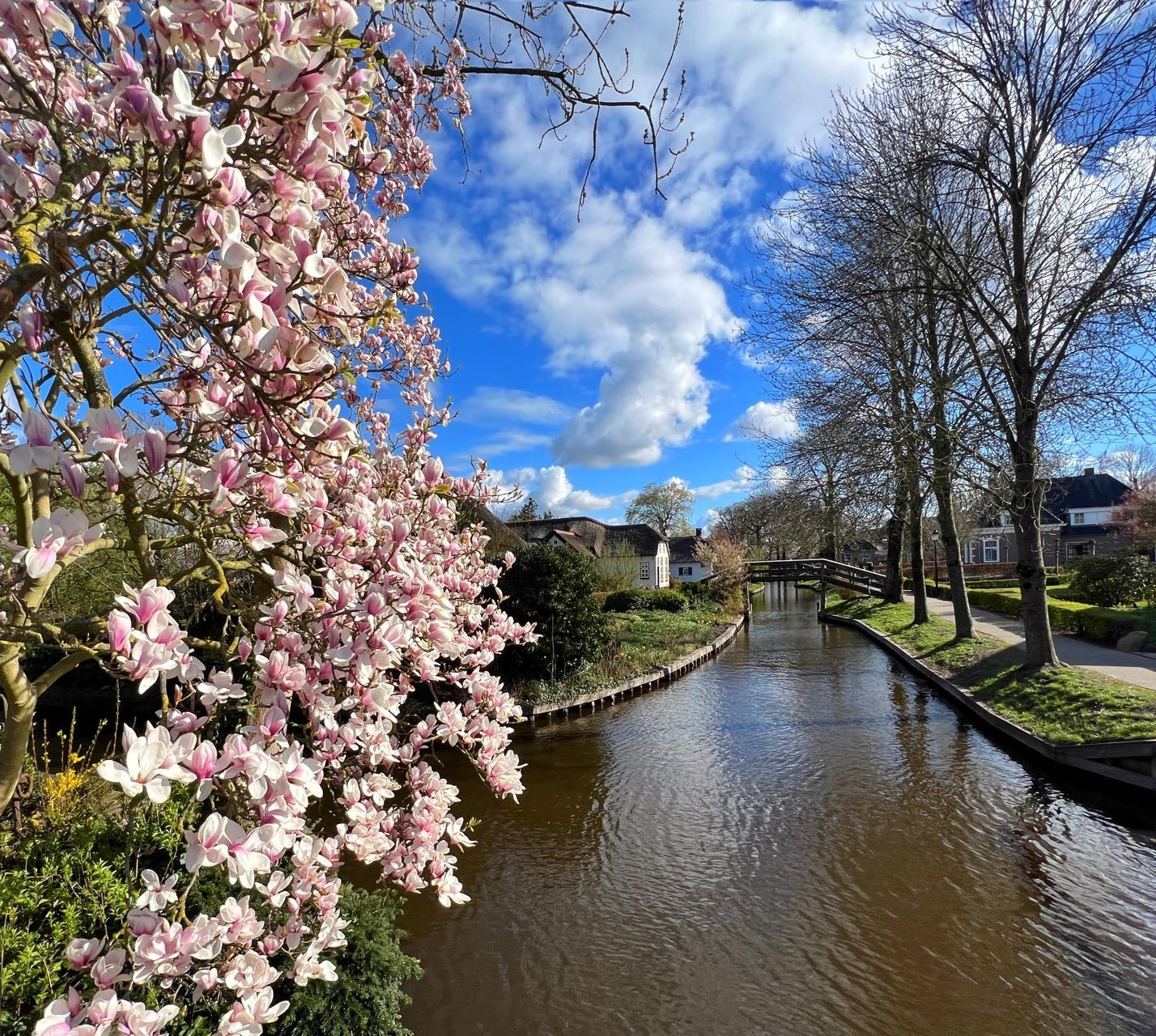 Day Tour to Zaanse Schans and Giethoorn Incl. One Hour Boat Cruise