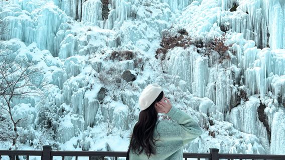 Raccolta di fragole fresche + slittino nel mondo di ghiaccio di Hongcheon Daemyung + tour di un giorno alla valle glaciale di Eobi (Seoul)