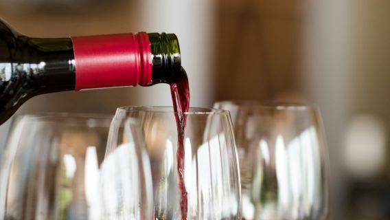 Medoc: Excursión de un día completo por los viñedos desde Burdeos