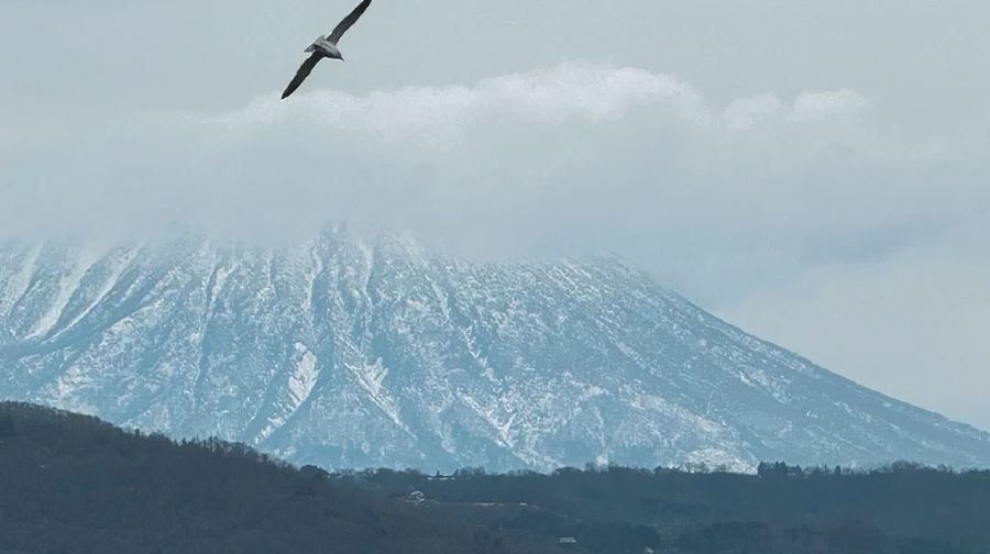 日本札幌-登別-洞爺湖/可札幌小樽富良野北海道多日包車精選