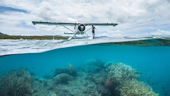 Hamilton IslandTours