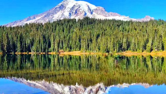 Mount Rainier National Park 1 Day | 12-person group with English-speaking driver and guide including meals | Round-trip from Seattle