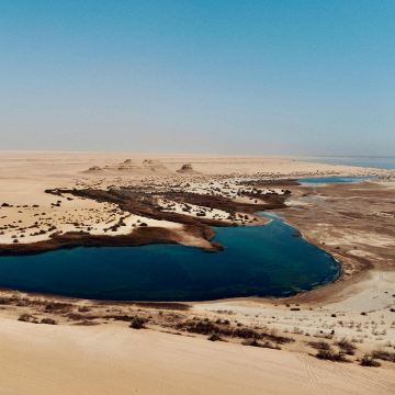 Perjalanan satu hari ke Fayoum Mesir: Oasis Fayoum, Danau Qarun, Lembah Paus, selancar pasir, desa T