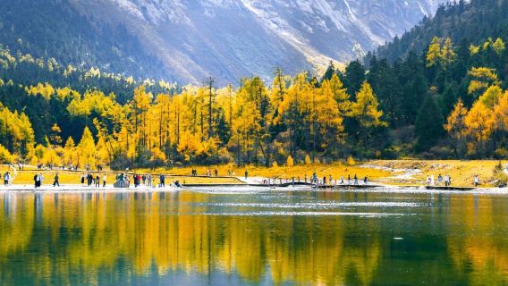 Chengdu andata e ritorno: tour di un giorno a Bipenggou - il mondo fiabesco delle montagne innevate|Tour di alta qualità bilingue cinese-inglese