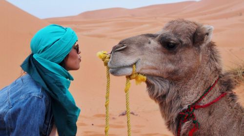 From Fujairah Safari: 4x4 Desert Safari with BBQ Dinner Day Tours 4