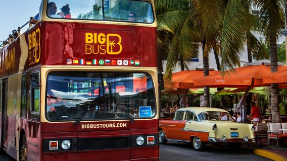 Miami: Panoramic City Tour + Yacht Cruise