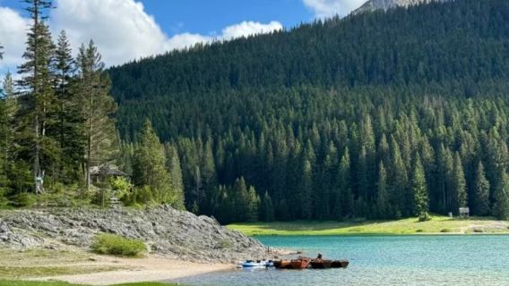 Podgorica + Parc national de Durmitor + Canyon de la rivière Tara + Pont de la rivière Tara