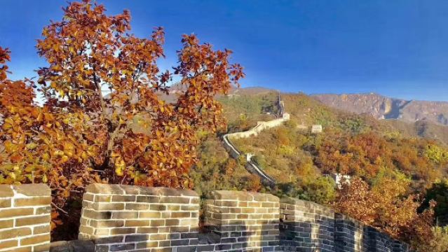 Privater Zwischenstopp-Ausflug zur Großen Mauer von Mutianyu und zur Verbotenen Stadt mit englischsprachigem Fahrer