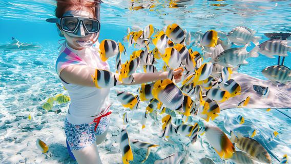 北海潿洲島海上娛樂項目【遊艇出海/潛水體驗/水上電單車/浮潛/海釣/帆船出海】