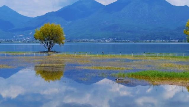 Tagesausflug mit chinesischem und englischem Service: Lijiang Romance Show + Altstadt von Lijiang + Wangu-Pavillon + Tee-Pferde-Straße am Lashihai-See
