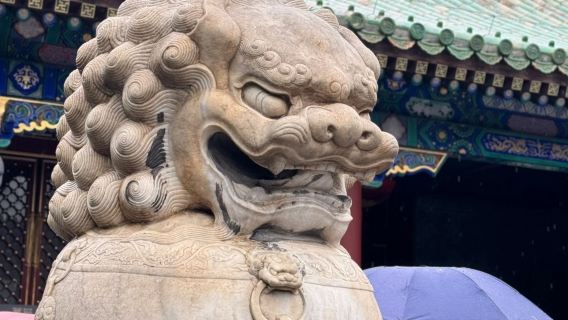 【遊京程·恭王府2.5小時品牌資深導遊講解】可選單獨私家小團·無線耳機服務