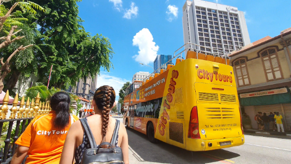 SingaporeTravel Services