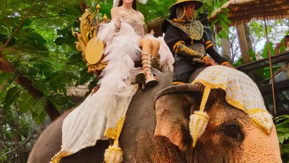 提前2小时下单|芭提雅大象村 Pattaya Elephant Village and Mongchang Cafe|入場門票+騎大象