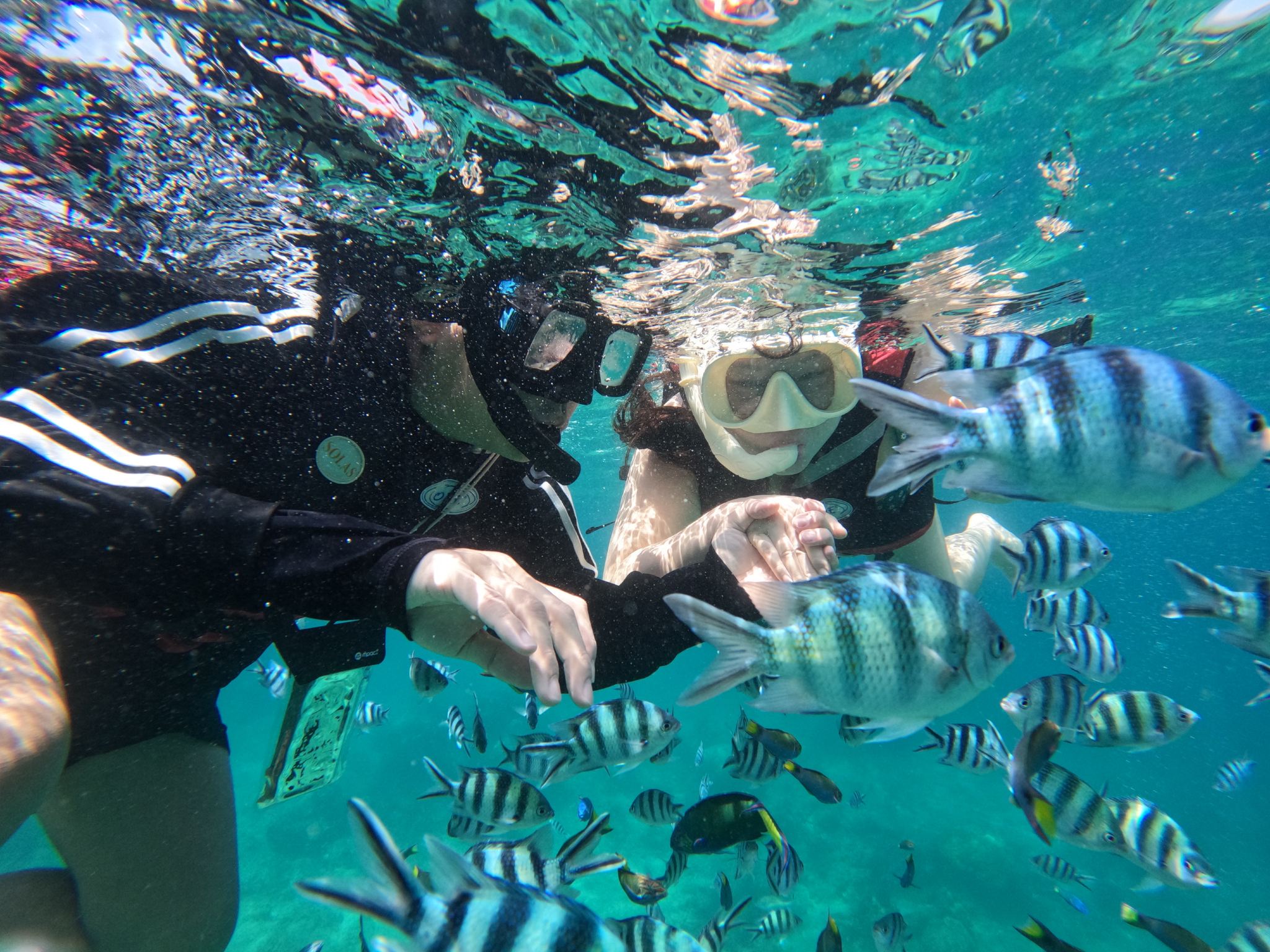 TARP Marine Discovery with Snorkeling & Lunch | Kota Kinabalu Sabah
