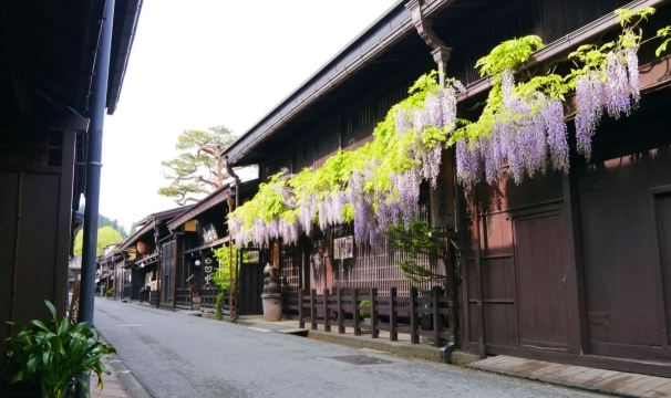 Shirakawa-go Day Tour