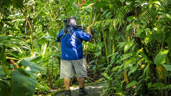 La Fortuna: Tour tham quan Lười tại Công viên Núi lửa Arenal & Đồ ăn nhẹ địa phương