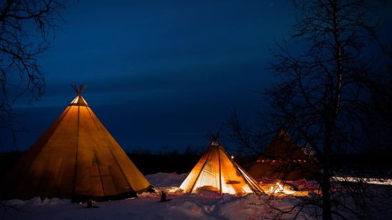 Vivi le maestose aurore boreali Kiruna-Abisko e cena in lodge