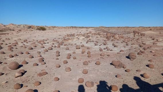 San Juan: Ischigualasto Park Valley of the Moon Tour