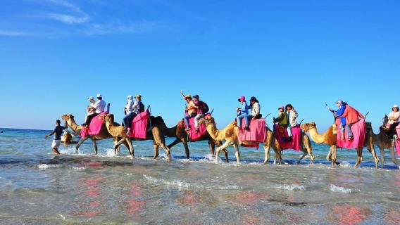 Djerba MidounTours