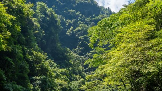 鳳凰+芙蓉鎮+十八洞村+茶峒+苗寨+猛洞河漂流（免費行程客製化+可接待自由行+親子遊+公司會議團）