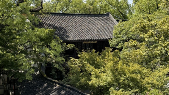 嘉興南湖設施+革命紀念館2選1【大咖講師講解】