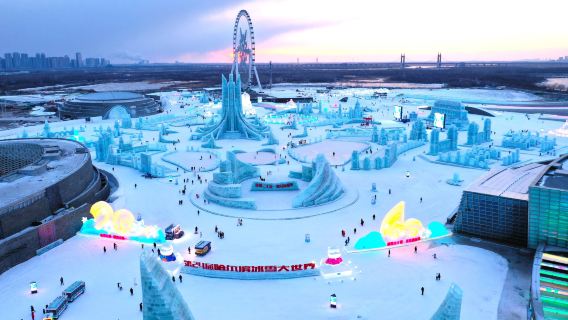 Harbin Ice and Snow World: Sun Island Snow Sculptures Private 1-Day Tour (Ice and Snow Wonders)