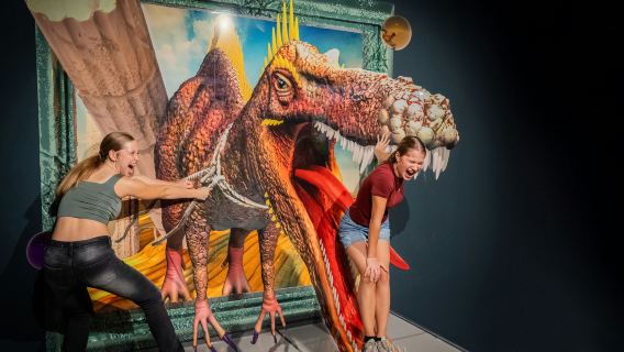 3D TrickArt Museum Berlin: Entry Ticket