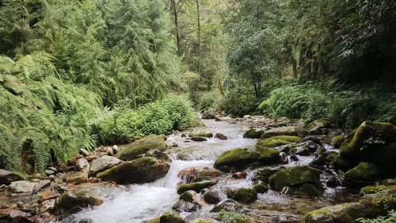 騰衝高黎貢山【五道溪】徒步（瀑布+叢林穿越）