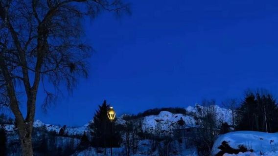 Norway Tromso + Senja 1-day tour / Adjustable itinerary - Customizable - Group tour available