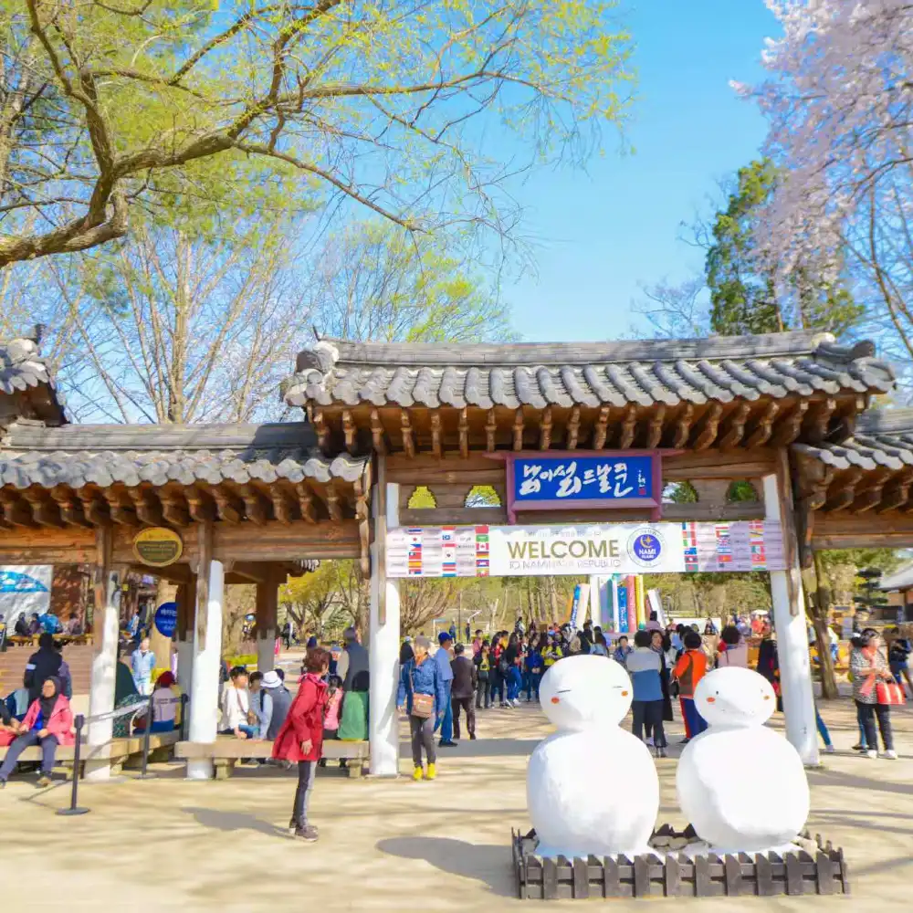 Tour 1 ngày Đảo Nami Hàn Quốc [Đảo Nami & Nông trại Alpaca & Xe đạp đường  sắt] | Trip.com