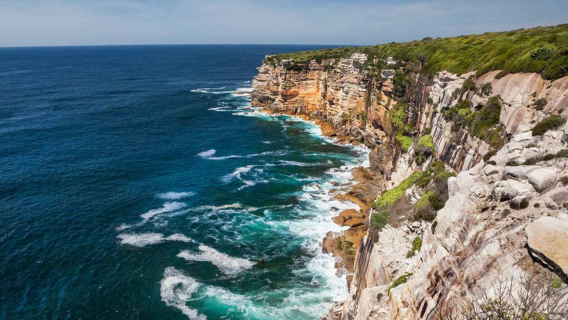 澳洲悉尼皇家國家公園+海崖大橋+凱阿馬噴水洞【中文專車】