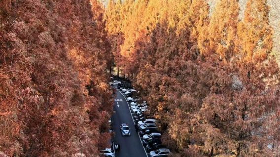 首爾出發包車大田自然科學之旅：長泰山-EXPO科學公園-尤庵