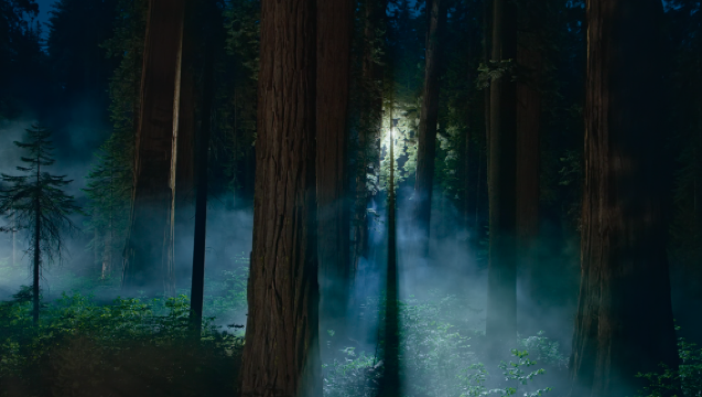 ทดสอบถังหรุย