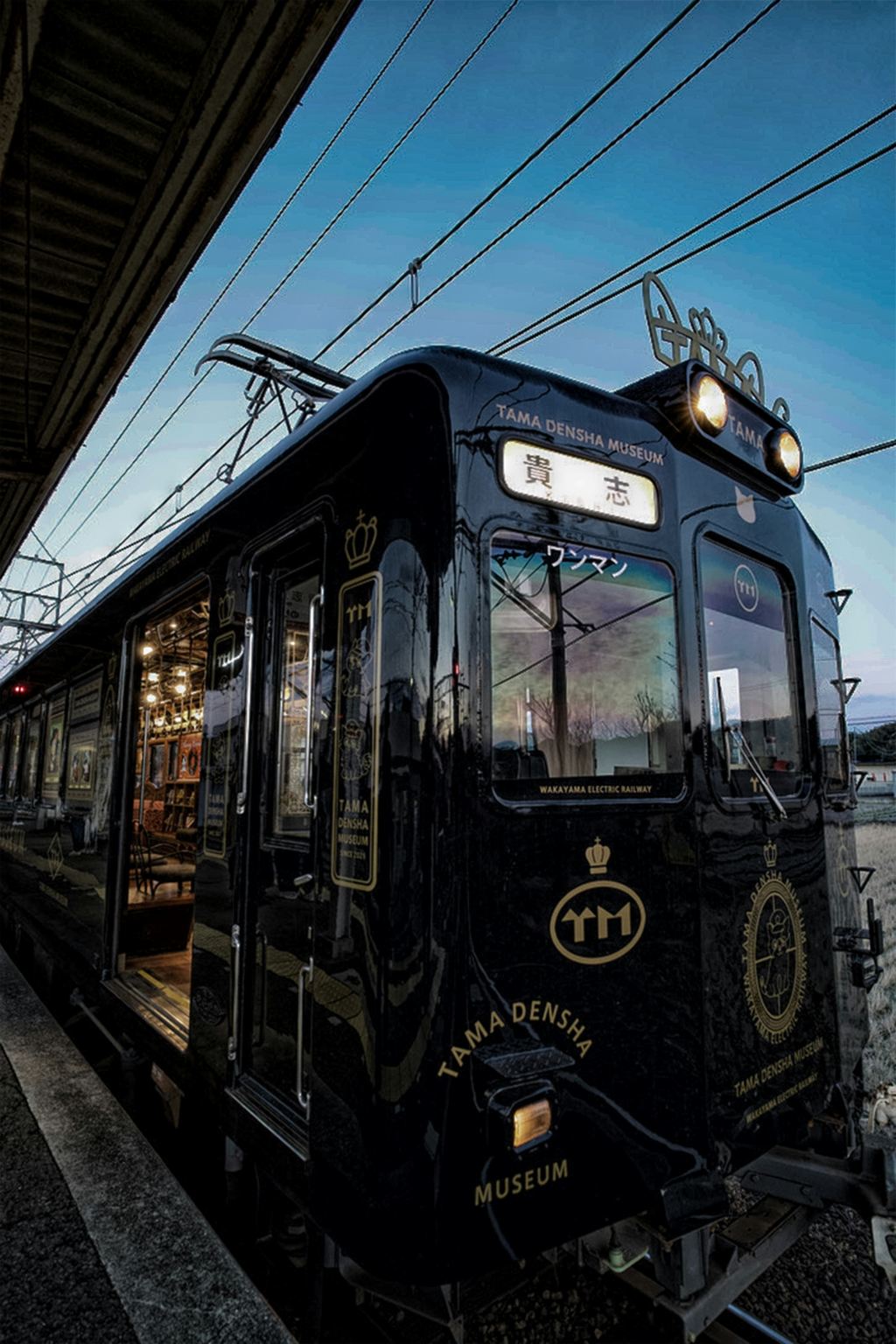 Wakayama Cat Stationmaster Train Experience & Nanki Shirahama Hot Spring Day Tour
