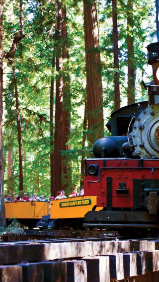 Redwood Forest Steam Train and Santa Cruz Coast Day Tour